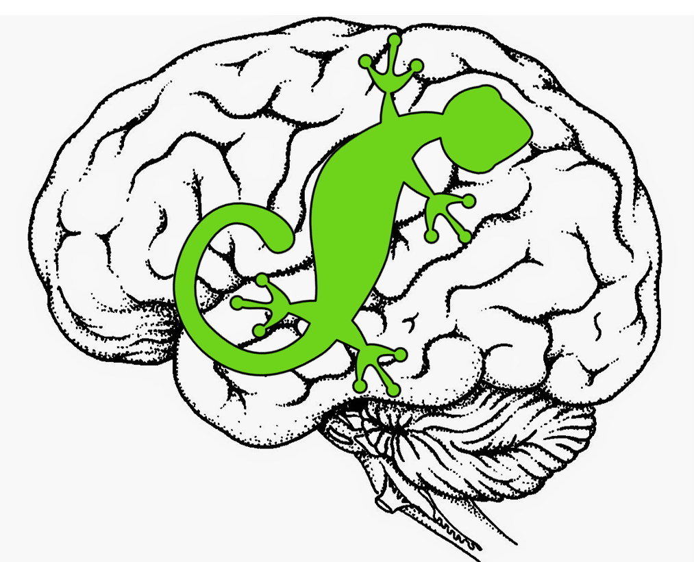 Lizard Brain Collection